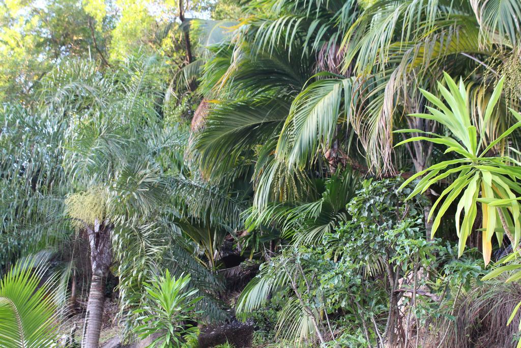 Stephna * Anse Boileau